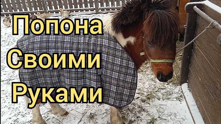 Подготовительные