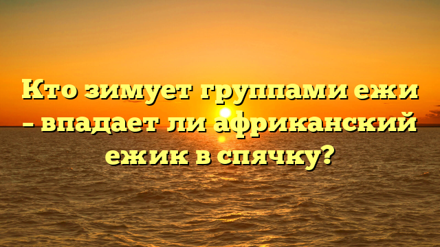 Кто зимует группами ежи – впадает ли африканский ежик в спячку?