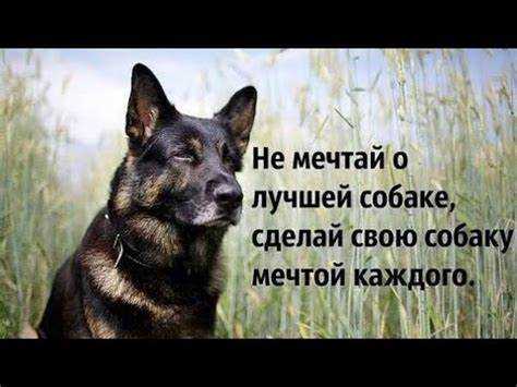 Обеспечение
